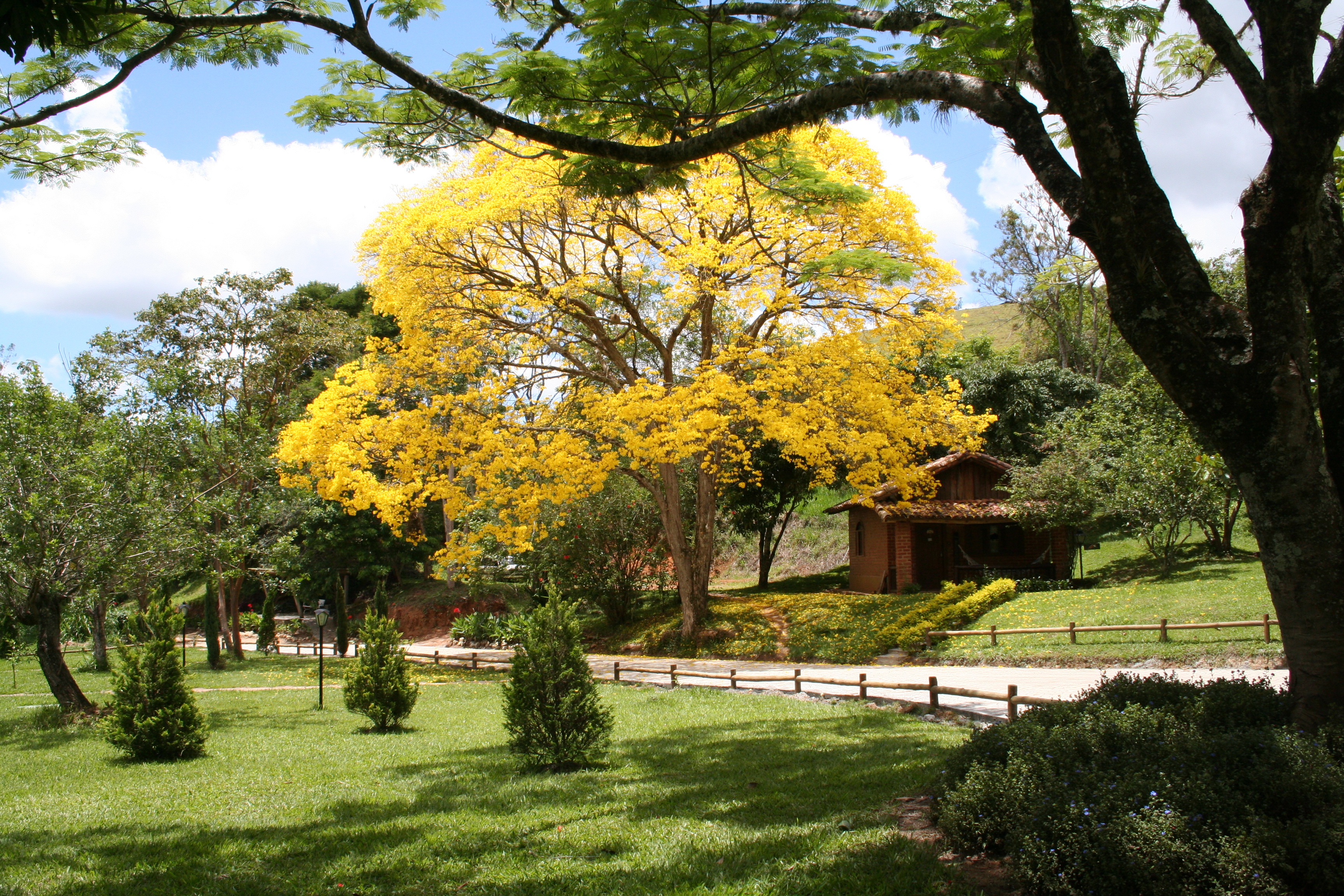 Fazenda Gamela Eco Resort faz parte do quadro Mundo Sem Mulheres