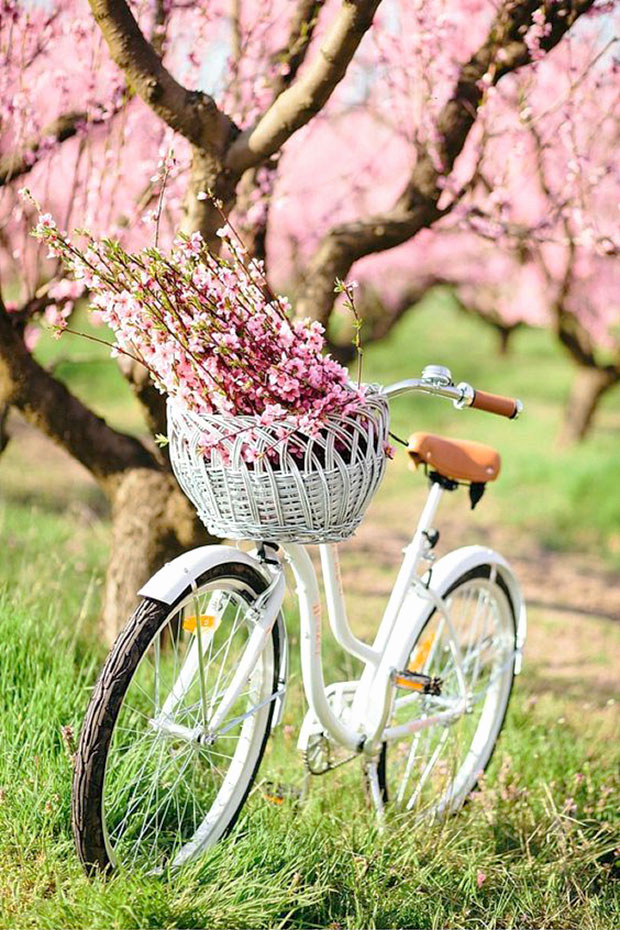 flores bicicleta