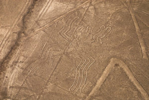 Líneas de Nasca aranha