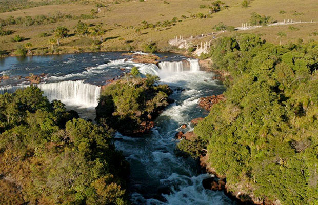 Paraísos Escondidos do Brasil Zoopter