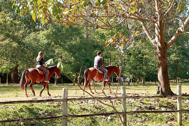 Hotel Fazenda Mazzaropi Carnaval