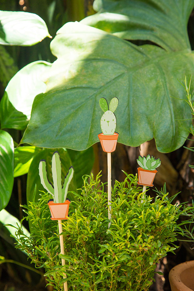 Tok&Stok coleção Cactoelhos Páscoa