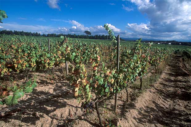 Centro de Portugal para apaixonados