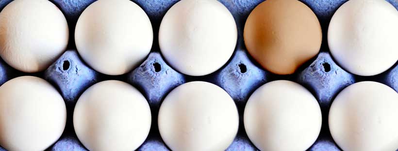 Benefícios do Ovo Nutricionista Lúcia Endriukaite
