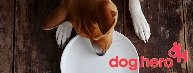 Alimentação Natural Doghero