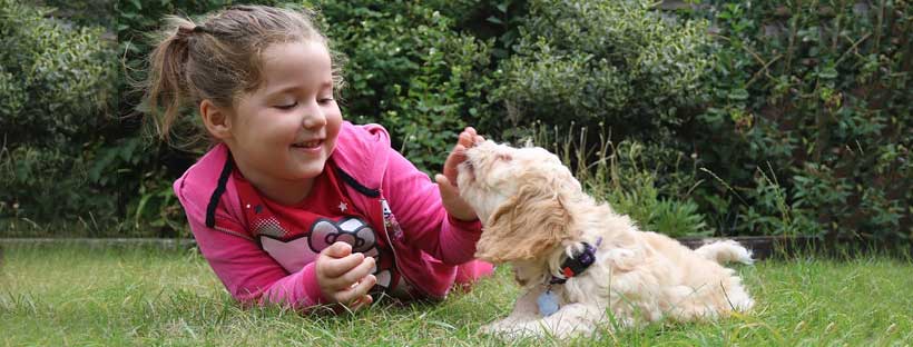 Relação entre Crianças e Pets - MSD Saúde Animal