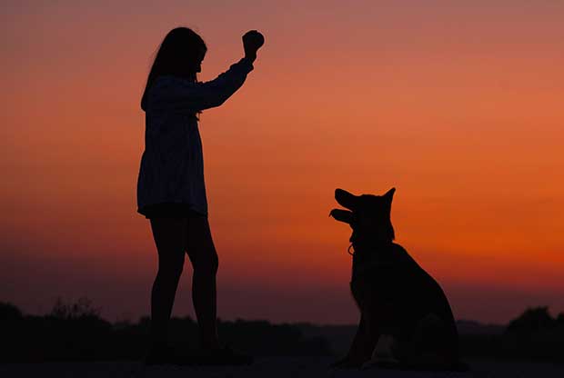 Relação entre Crianças e Pets - MSD Saúde Animal