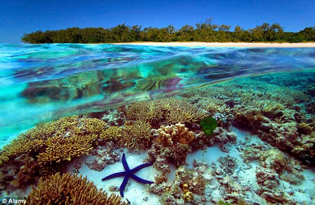 Lizard Island Resort