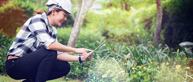 Sebrae - Curso Negócios de Impacto Socioambiental