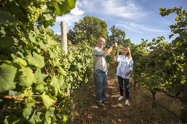 Ilha da Madeira - Famoso Vinho