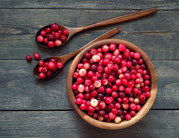 Cranberry - Alimentos funcionais Tia Sônia