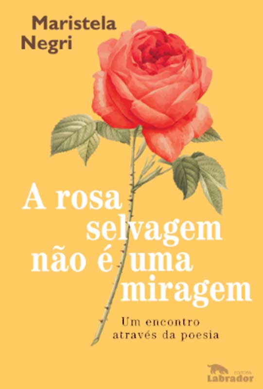 Maristela Negri - Lançamento livro A Rosa Selvagem Não É Uma Miragem